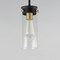 Maxim Lighting Pinn 1-Light Mini Pendant 12406CLBKSBR - alternate 2